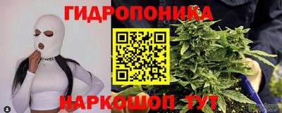 эйфоретик Шелехов