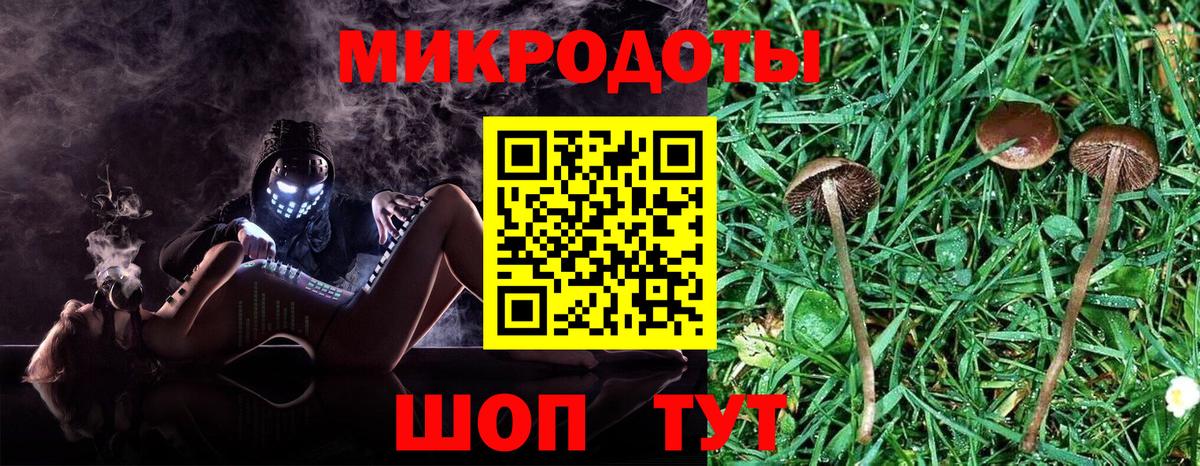 Псилоцибиновые грибы Cubensis  Псилоцибиновые грибы Psilocybine cubensis  Кызыл  Вход с VPN 