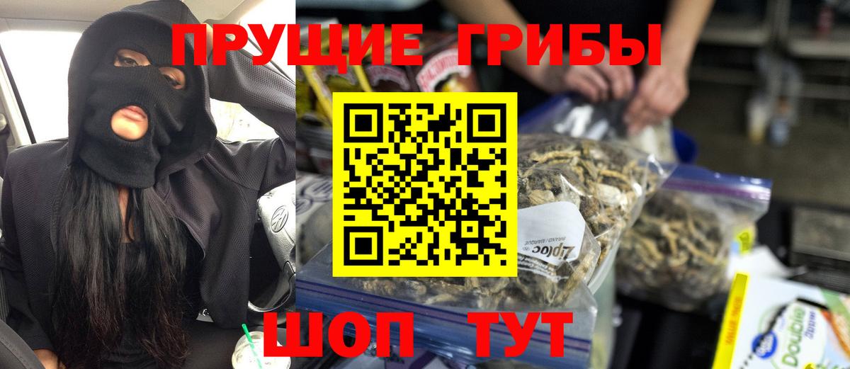 Псилоцибиновые грибы мицелий Кызыл